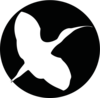 Image-15